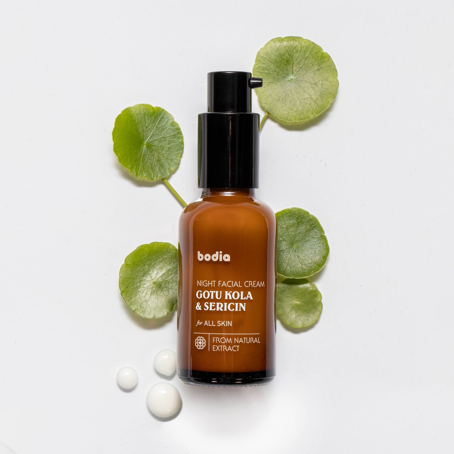 Night cream – Asiatic pennywort & silk protein 